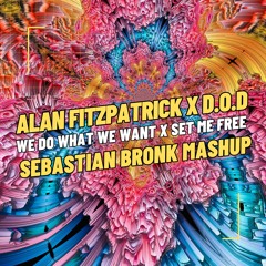 Alan Fitzpatrick x D.O.D - We Do What We Want x Set Me Free [Sebastian Bronk Mashup]
