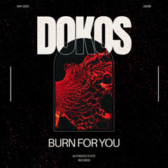 Burn For You