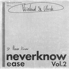 Wieland & Ulrich - Never Know