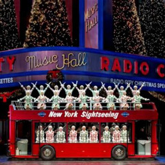 Review Special Price Radio City Christmas Spectacular Starring The Rockettes Ticket