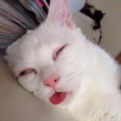 Best (prod. @rip.warheart + @prodbiggity)