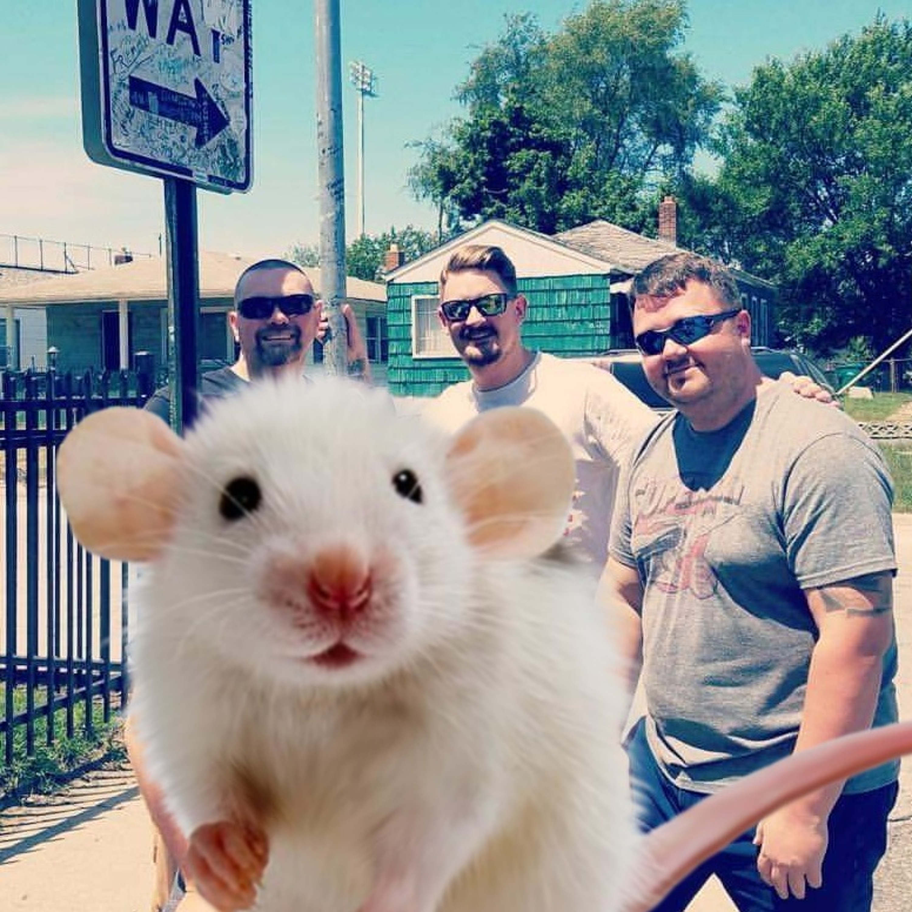Major's Mess Hall - Episode 112 - When A Mouse Comes Knockin' episode artwork
