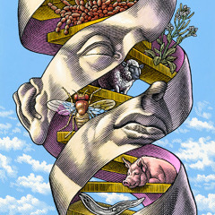 Chain Reaction Vol. III