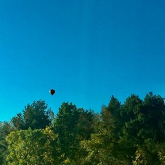 Run it Up (feat. Yung 13, Beach Bum, Boss Go Brazy and Yung Feyre)