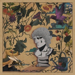 Never The Muse