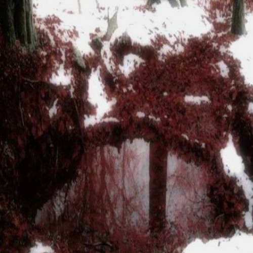 Nissan Playa — TREMOR (unreleased magnzera's track/demo 17.06.23)