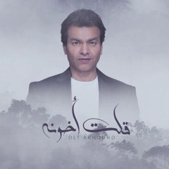 محمد محي