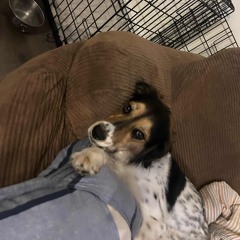 j cole prod bullseye