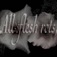 prototype (v1) [prod. bonnie rogerr]