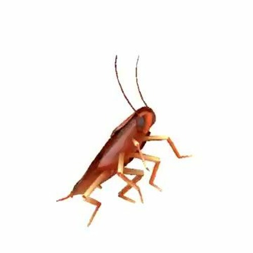 Dancing Roach Autotune