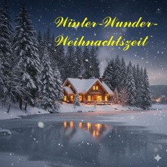 Winter-Wunder-Weihnachtszeit-EMANUELO