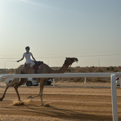 المنتحر 🔥👏🏼
