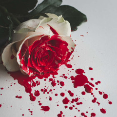 SHOTGUN WEDDING