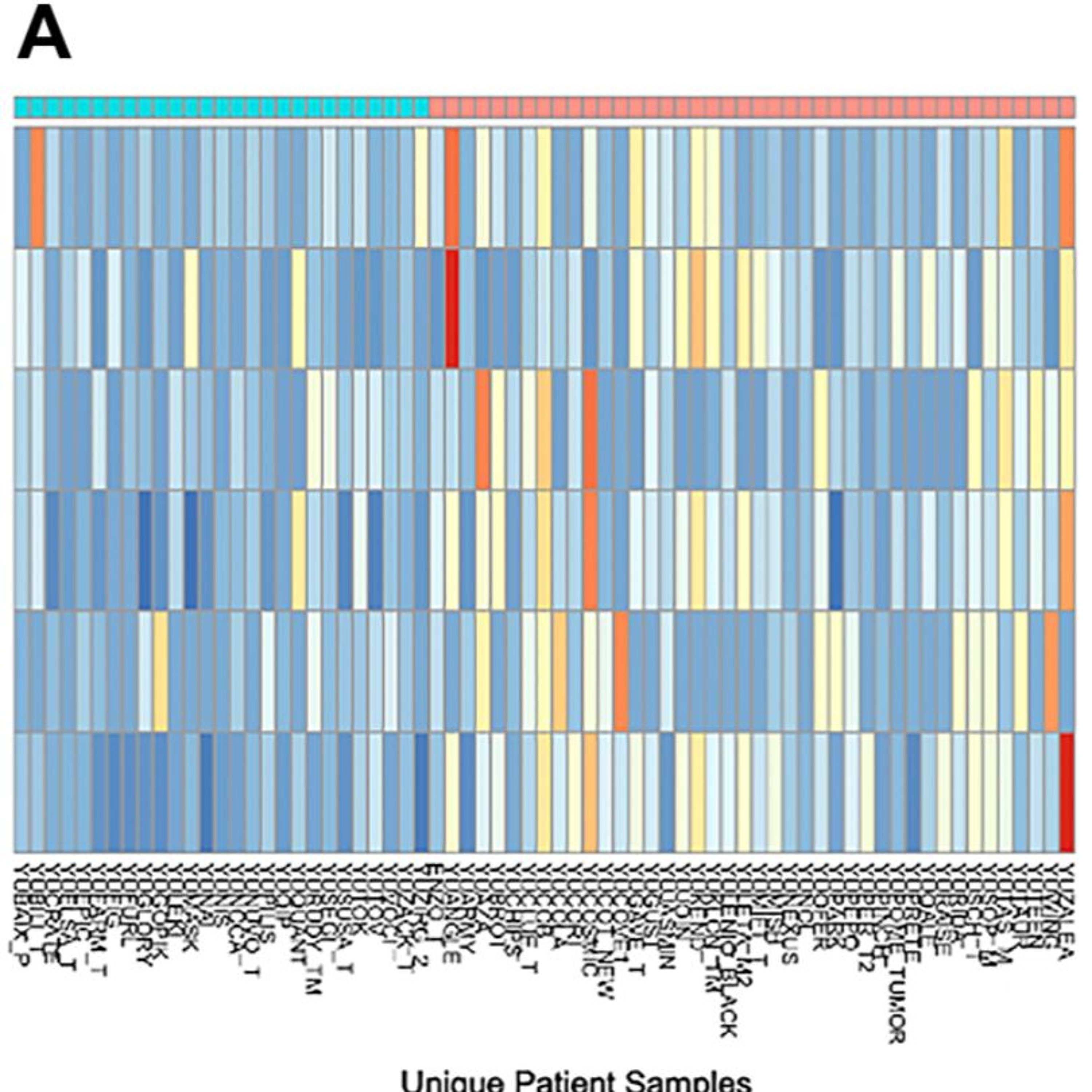Oncotarget