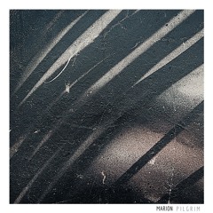 MARION - Pilgrim