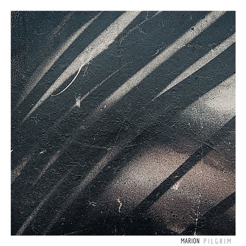 MARION - Pilgrim