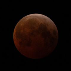 chelsie241 Live @ moontribe March 2025