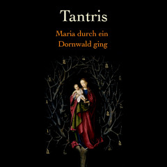 Maria durch ein Dornwald ging