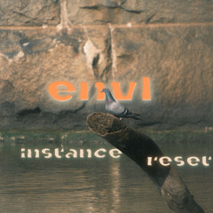 instance_reset