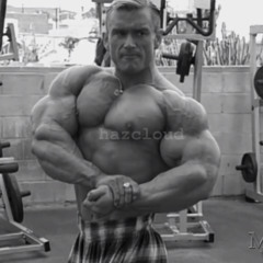 lee priest real audio