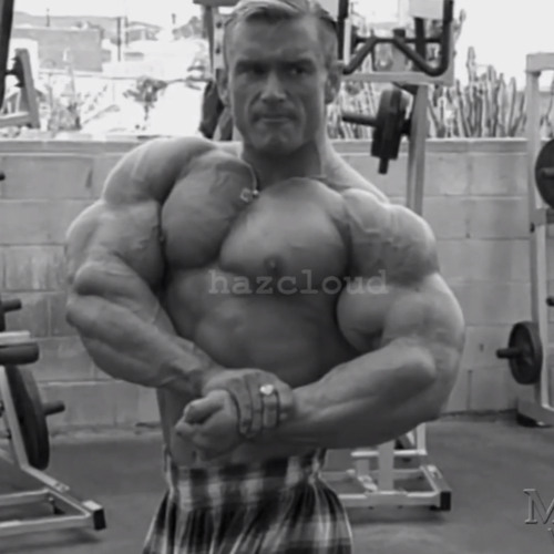 lee priest real audio