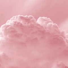 404LOST -  PINK CLOUD VIBES