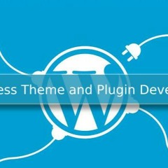 SMART TIPS FOR WORDPRESS THEME AND PLUGIN DEVELOPMENT