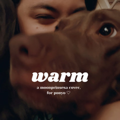 warm (cover)