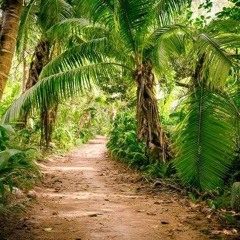 ♪ ~ cableforest.ogg
