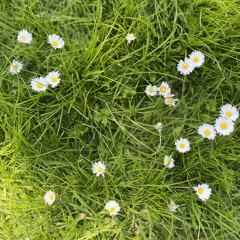 Fresh grass & cinnamon