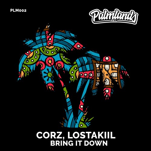 CORZ, LOSTAKIIL - BRING IT DOWN [Palmlands Records]