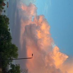sunset drive