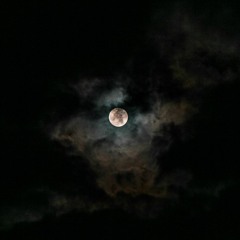 moonlight (throwaway) w/ Walls the Ghost