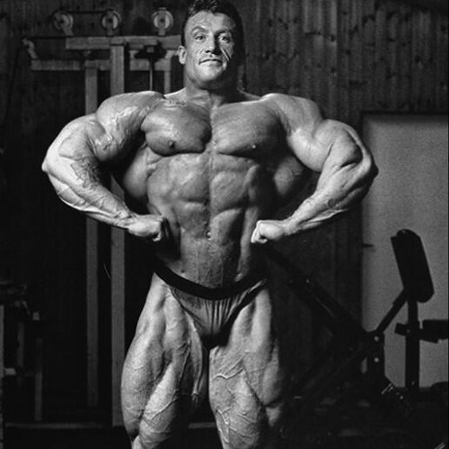 DEAD END (Slowed) X Dorian Yates