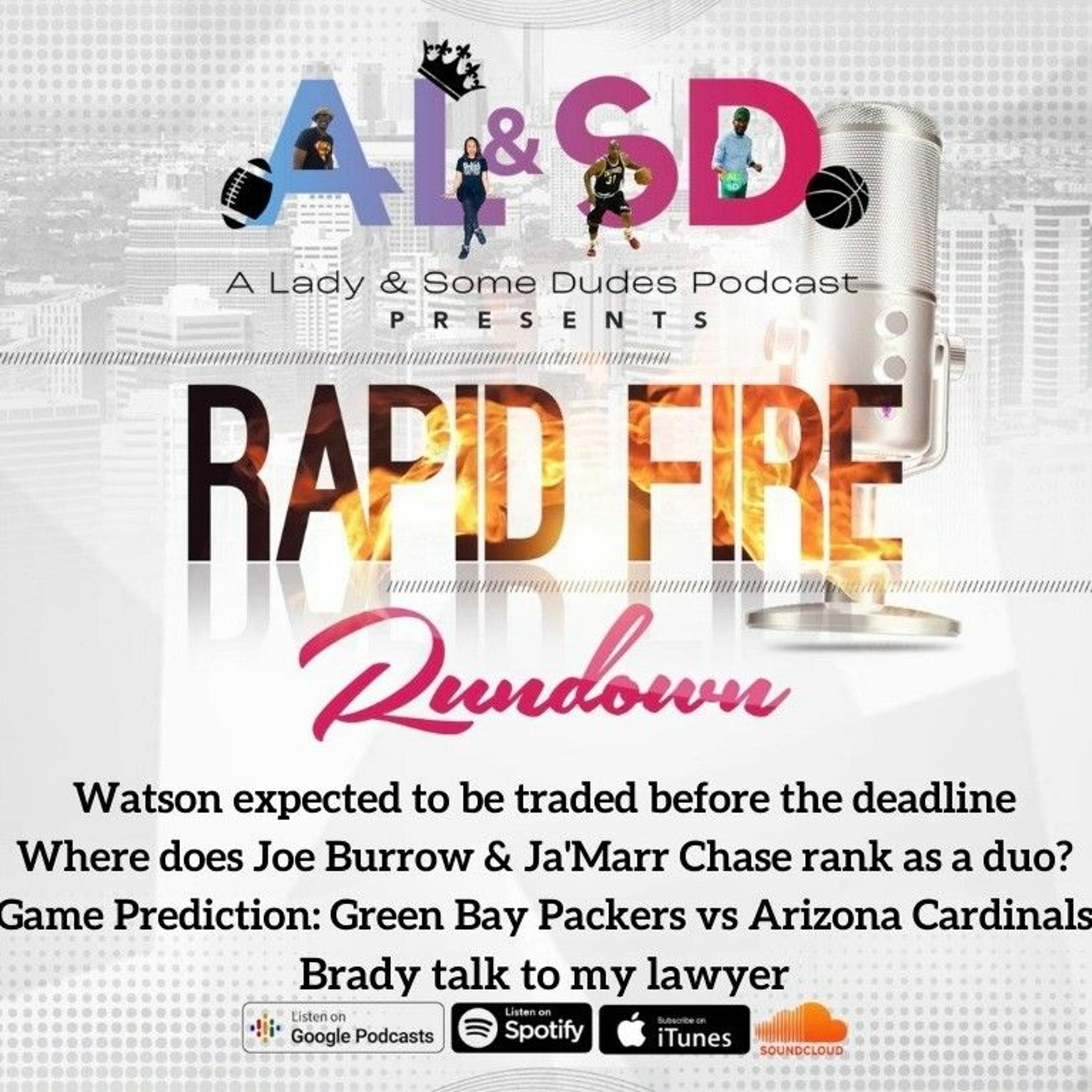 A Lady & Some Dudes Podcast