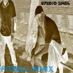 Pitbull remix
