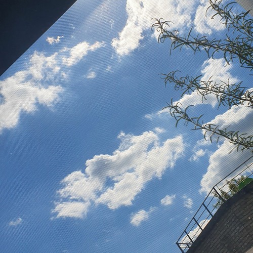 ⎝뱅드림⎞ - 육조 년과 하룻밤 이야기 [Full]