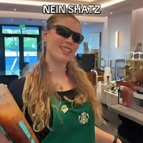 NEIN SCHATZ - Miss Bashful, Ski Aggu, GDA (D&B REMIX)