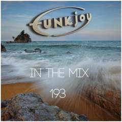 funkjoy - In The Mix 193
