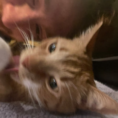 Static in my Head // RUN