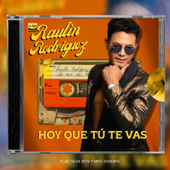 Raulin Rodriguez - Hoy Que Tu Te Vas (Intro Acapella Dirty)