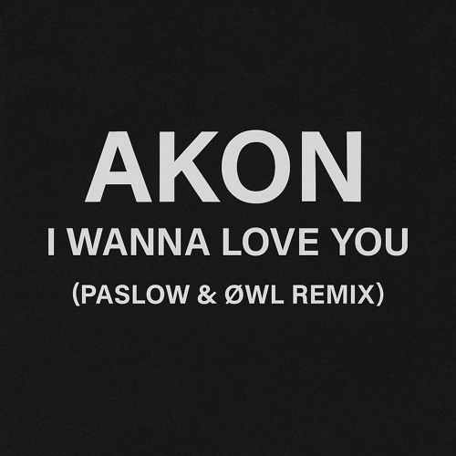 I Wanna Love You - AKON (PASLOW, ØWL Remix)