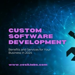 Custom Software Development: Benefits and Services for Your Business in 2024