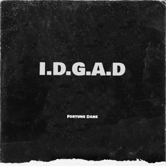 I.D.A.G.D (I Don't Give A Damn)