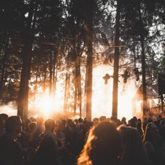 Melodic Beats in the Forest