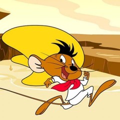 RUN RUN RUN