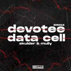 Skulder & Mully - Data Cell