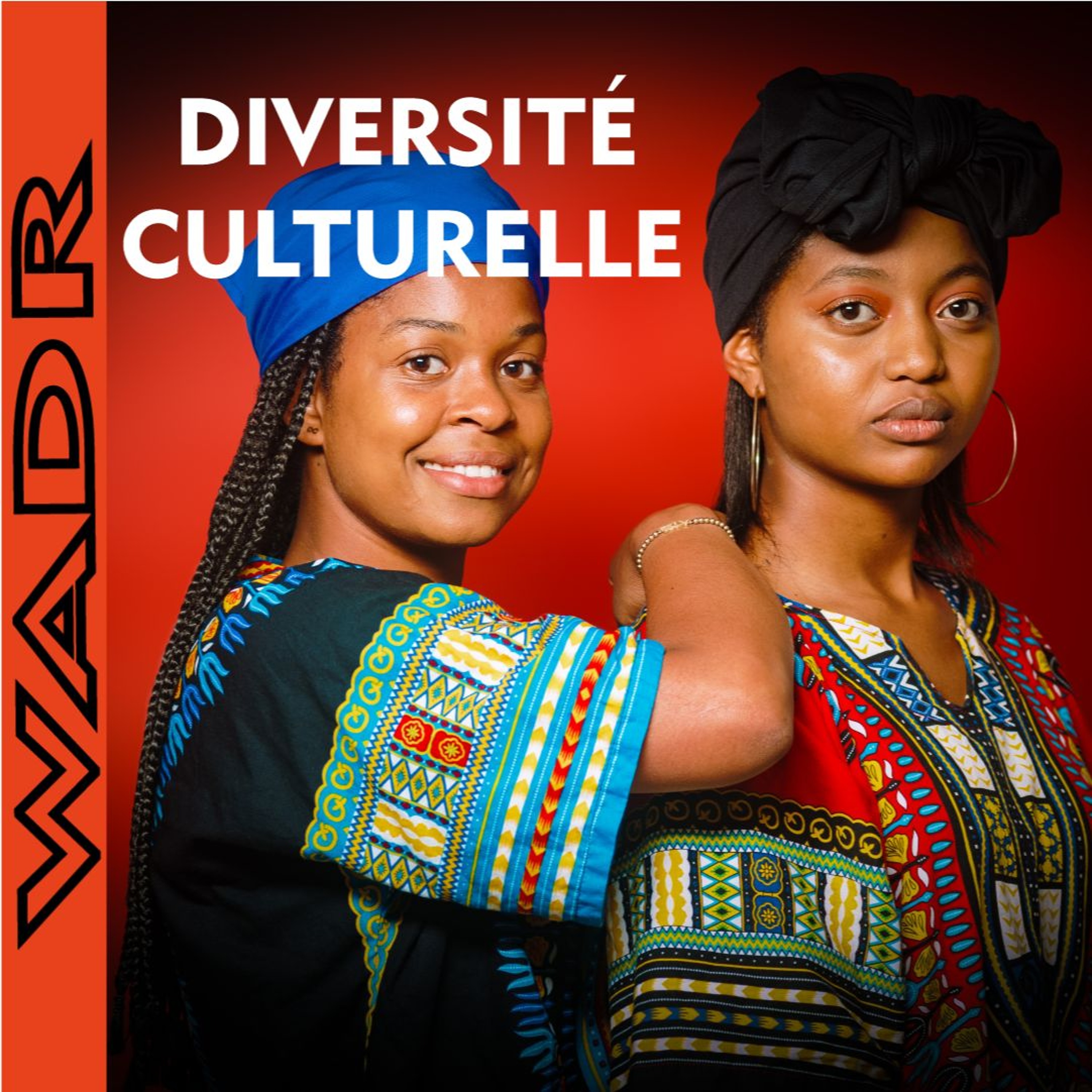 La Diversité Culturelle et la Capacité d’Adaptation des Individus episode artwork
