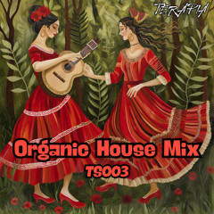 Terapia Slowly 003 [Organic House Mix 2024]