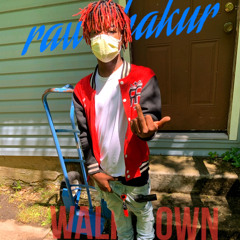 walkdown (freestyle)